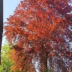 Easy Stay Victus Sopot Walk To The Pier By Noclegi Renters Villa