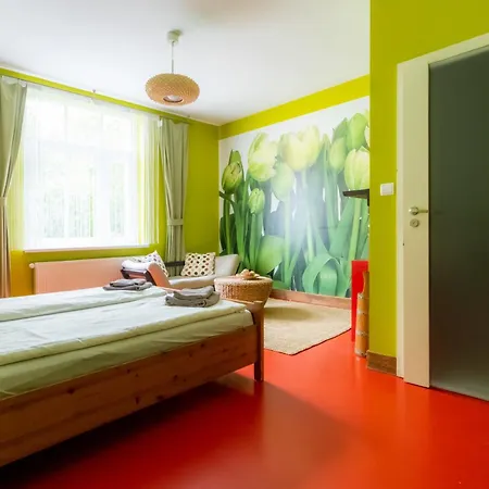 Superiq Victus Walk To The Pier By Renters