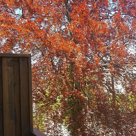 Βίλα Superiq Σόποτ